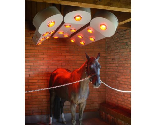 SOLARIUM SOLAR-TECH - 1 PANEL