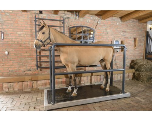 VIBRATION FLOOR VIBRO 2300